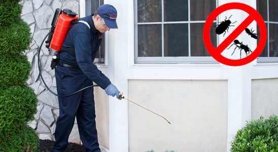 Laçin Dezenfeksiyon böcek ilaçlama ve haşere kontrolü — ilaclama-tr.com